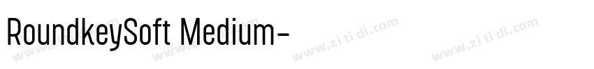 RoundkeySoft Medium字体转换